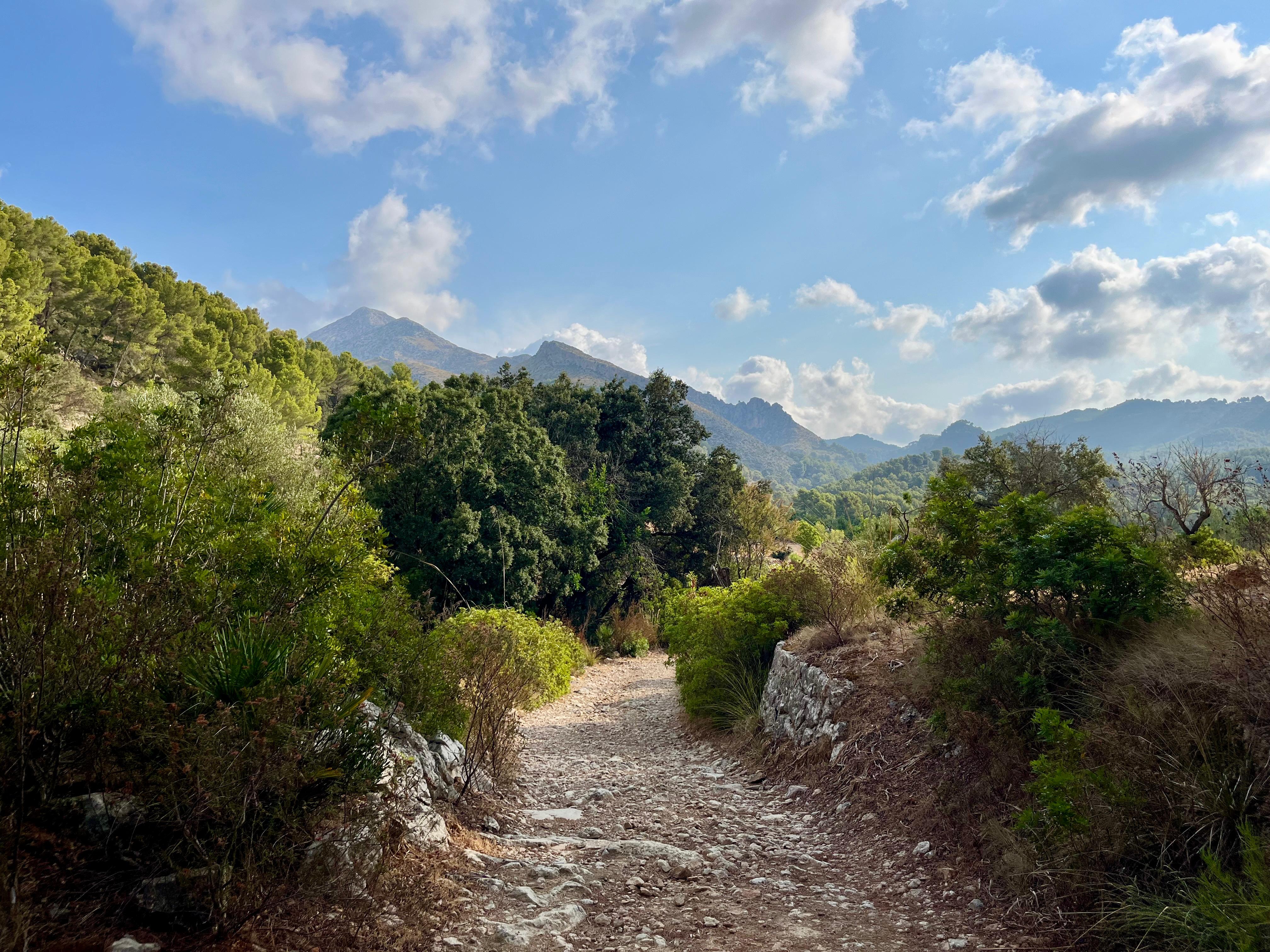 Sendero en Mallorca